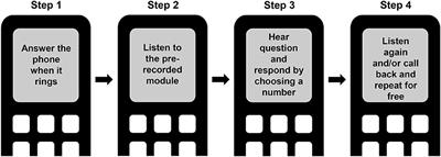 Co-creation and Evaluation of Nationwide Remote Training Service for Mental Health Education of Community Health Workers in Rwanda